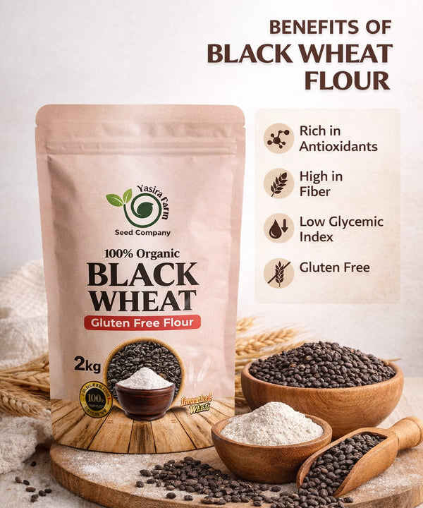 Black Wheat Gluten Free Flour – 100% Organic (2kg)